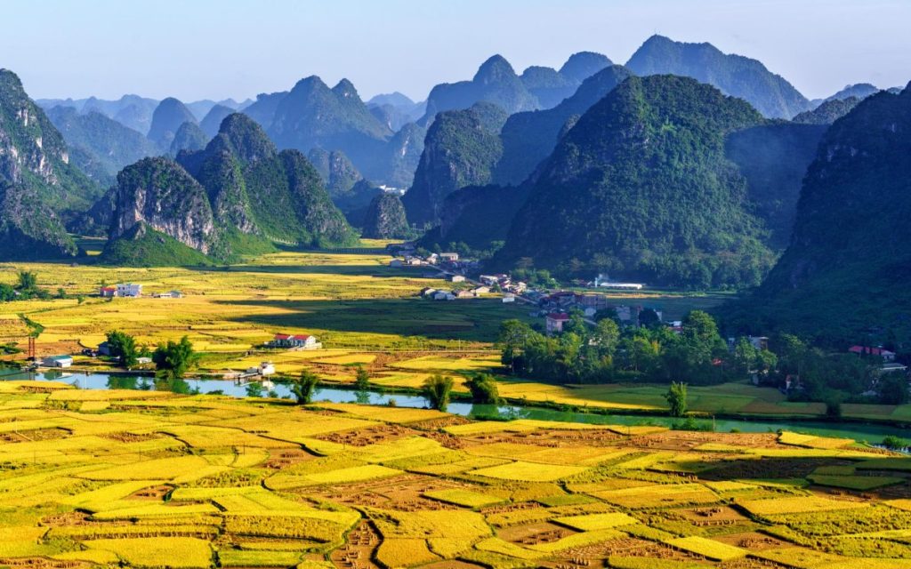 ויזה לויאטנם