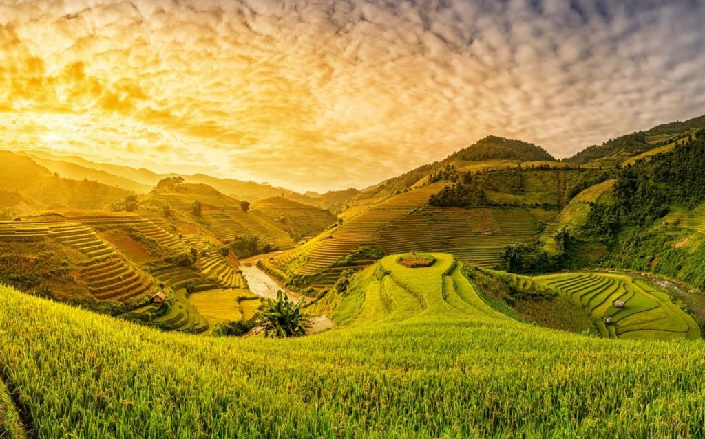 טיול לוייטנאם