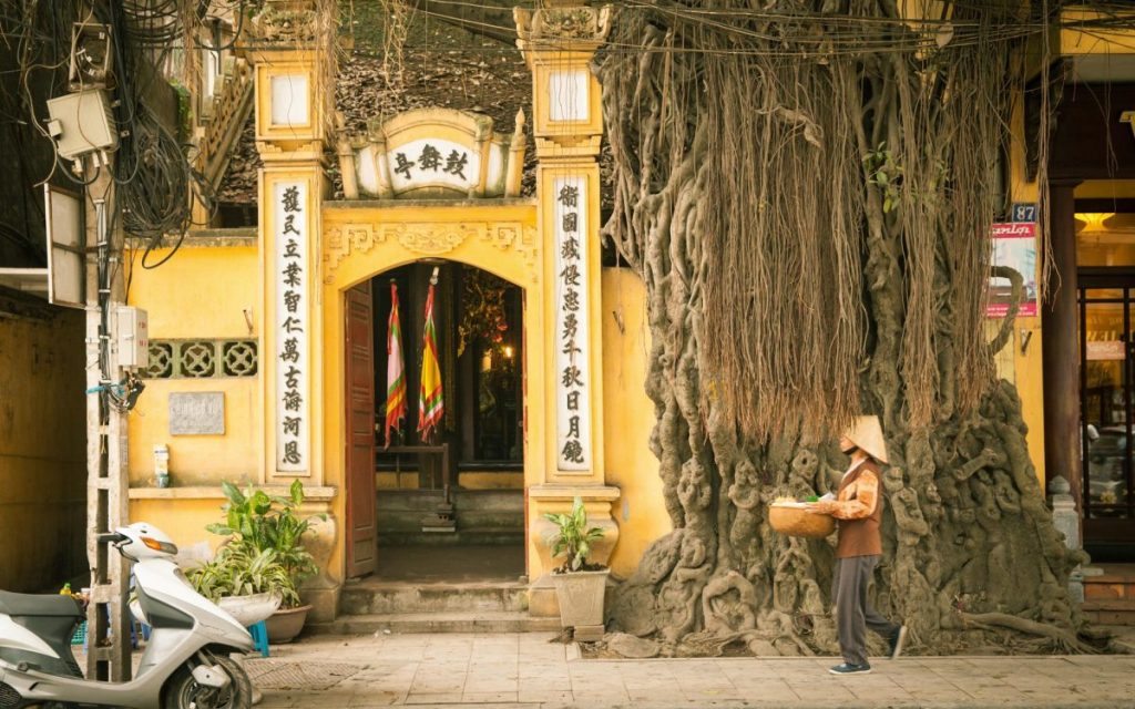 ויאטנם מידע למטייל