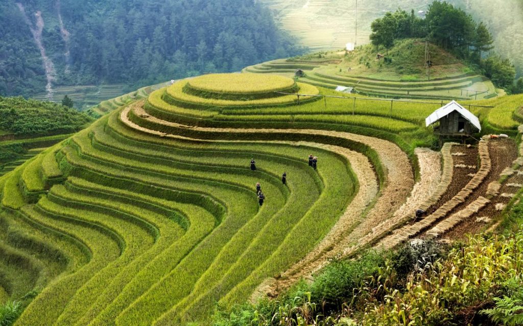 טיול איכותי לוייטנאם