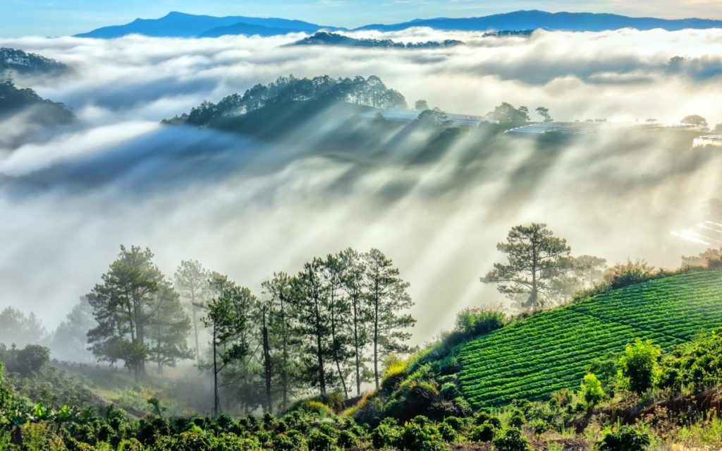 צפון ויאטנם