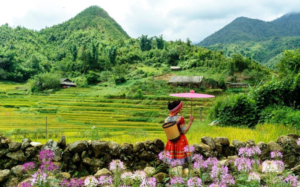 צפון ויאטנם