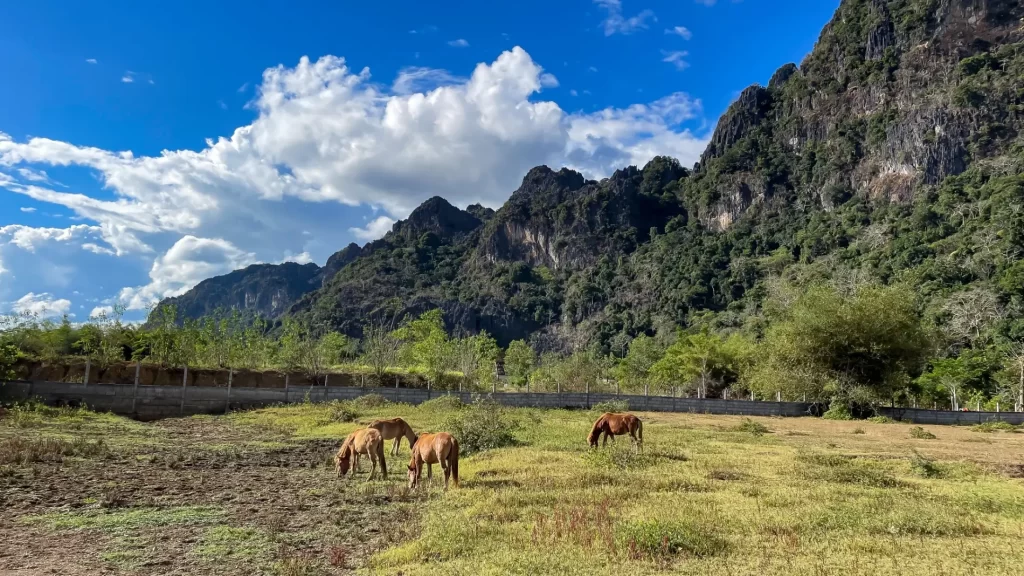 לאן מטיילים בלאוס?