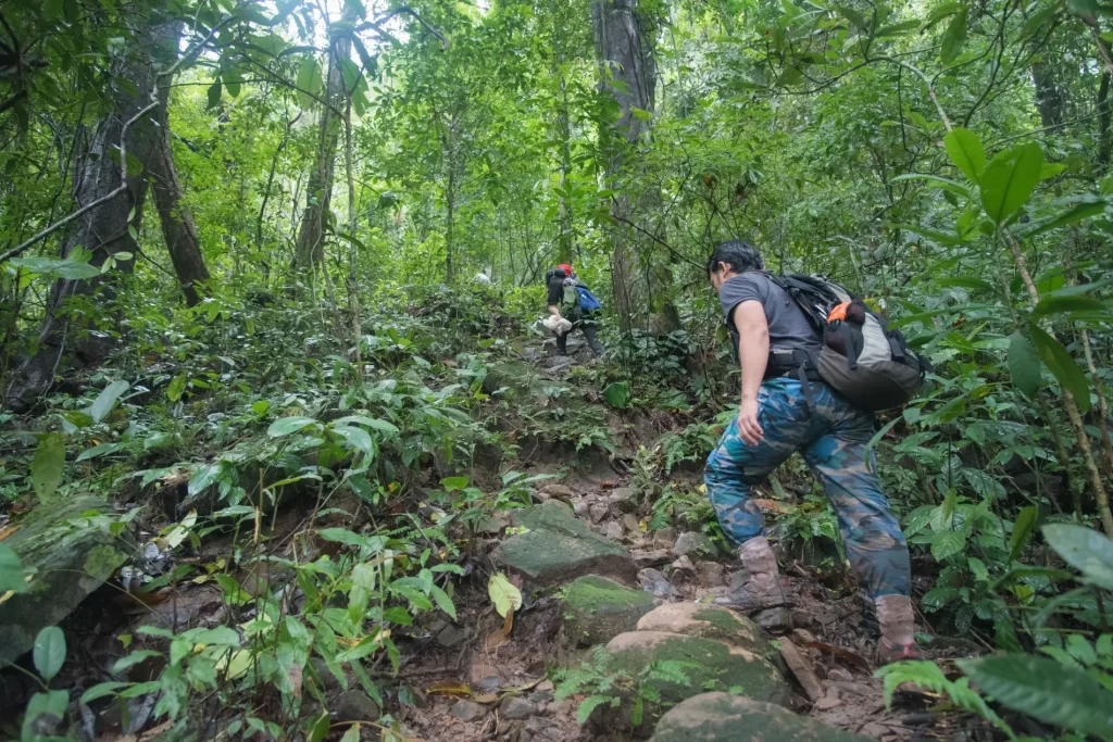 טרק בג'ונגל טרופי - צפון לאוס