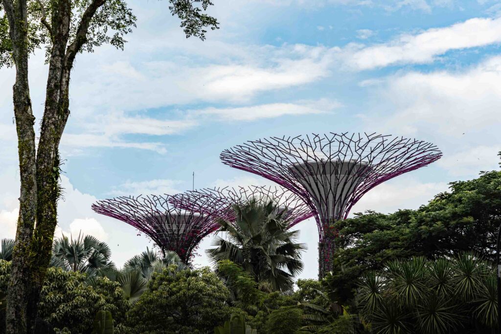 Gardens by the Bay